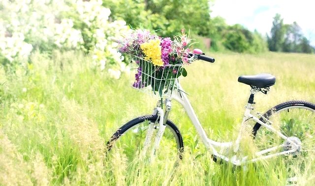 今日のラッキーアイテム「自転車」